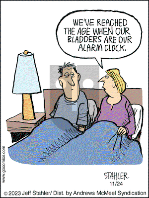 Moderately Confused - Friday November 24, 2023 Comic Strip