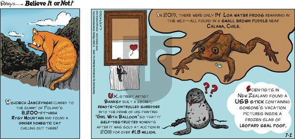 Ripley's Believe It or Not - Sunday July 2, 2023 Comic Strip