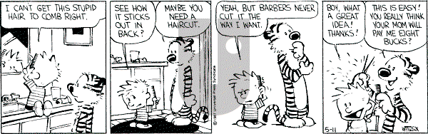 Calvin and Hobbes - Monday May 11, 1987 Comic Strip