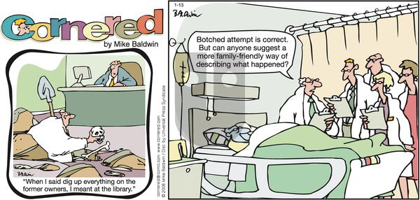 Cornered on Sunday January 13, 2008 Comic Strip