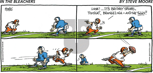 In the Bleachers on Sunday August 24, 2008 Comic Strip