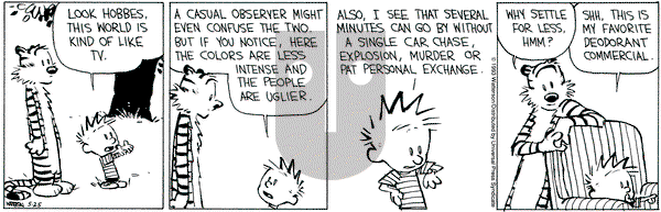 Calvin and Hobbes on Tuesday May 25, 1993 Comic Strip