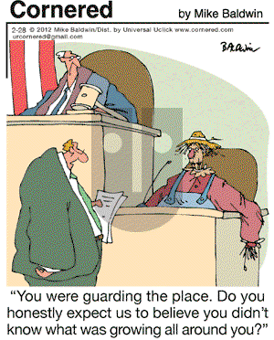 Cornered on Tuesday February 28, 2012 Comic Strip
