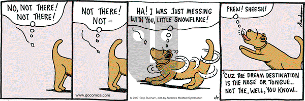 Overboard on Saturday January 7, 2017 Comic Strip