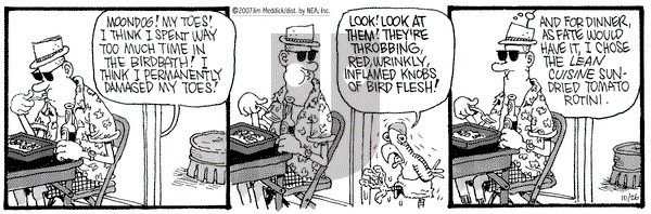 Monty on Friday October 26, 2007 Comic Strip