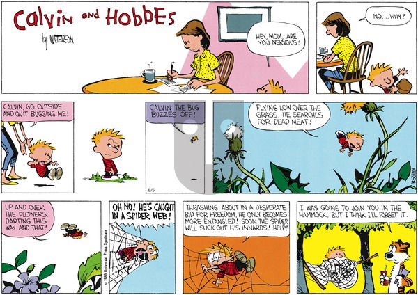 Calvin and Hobbes on Sunday July 27, 1986 Comic Strip