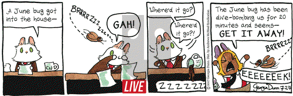 Breaking Cat News on Thursday July 27, 2017 Comic Strip