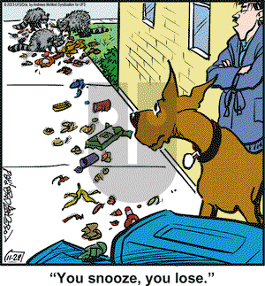 Marmaduke - Wednesday November 29, 2023 Comic Strip