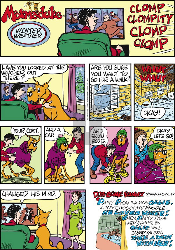 Marmaduke on Sunday February 21, 2016 Comic Strip
