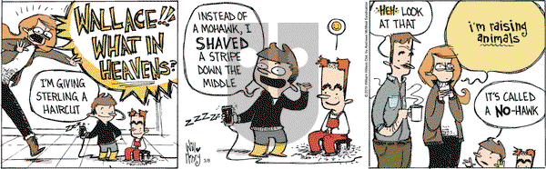 Wallace the Brave on Friday March 8, 2019 Comic Strip