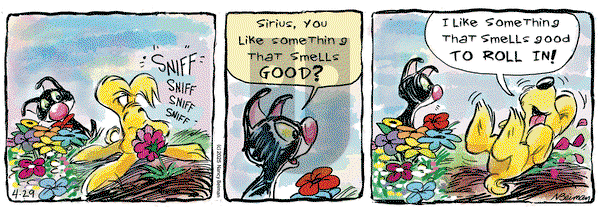 FurBabies on Tuesday April 29, 2025 Comic Strip