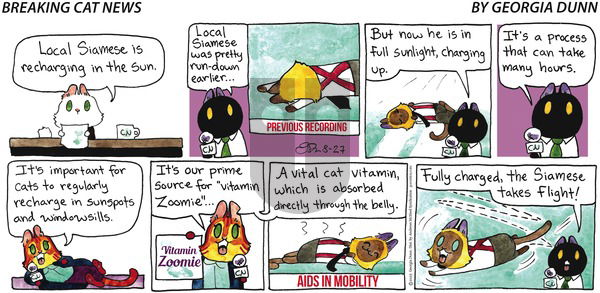 Breaking Cat News - Sunday August 27, 2023 Comic Strip