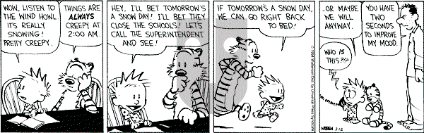 Calvin and Hobbes - Saturday March 12, 1994 Comic Strip