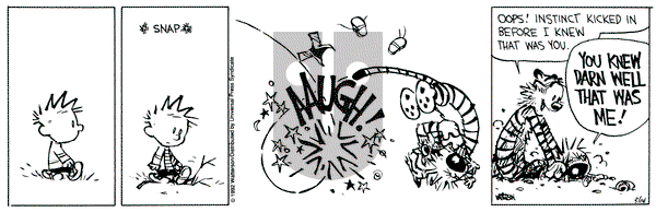 Calvin and Hobbes on Saturday March 14, 1992 Comic Strip