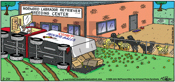 Close to Home on Sunday February 20, 2000 Comic Strip