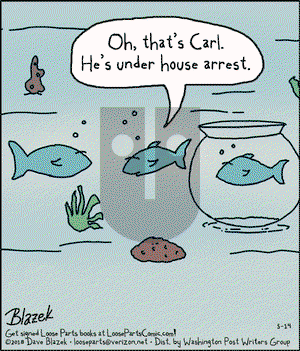 Loose Parts - Monday May 14, 2018 Comic Strip