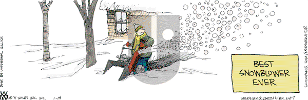 Non Sequitur on Wednesday January 19, 2011 Comic Strip