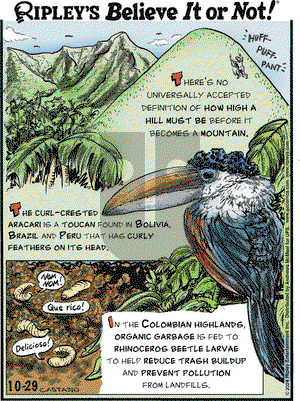 Ripley's Believe It or Not - Tuesday October 29, 2024 Comic Strip
