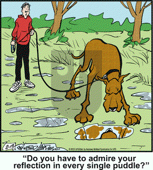 Marmaduke - Thursday February 13, 2025 Comic Strip