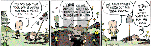 Wallace the Brave on Wednesday June 29, 2016 Comic Strip