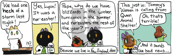 Breaking Cat News on Monday June 9, 2025 Comic Strip