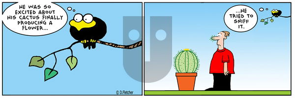 Crumb - Wednesday June 19, 2024 Comic Strip