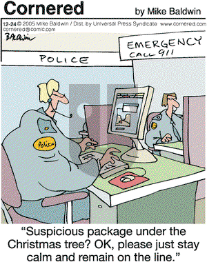 Cornered on Saturday December 24, 2005 Comic Strip