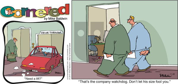 Cornered on Sunday November 22, 2015 Comic Strip