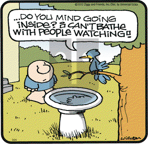 Ziggy on Saturday March 24, 2012 Comic Strip