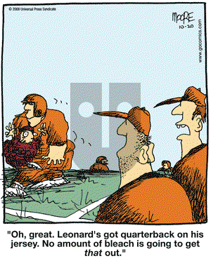 In the Bleachers on Monday October 20, 2008 Comic Strip