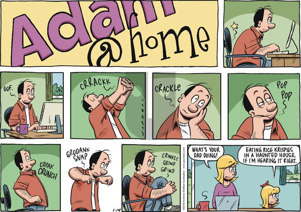 Adam@Home on Sunday January 14, 2018 Comic Strip