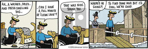 Overboard on Monday July 20, 2015 Comic Strip