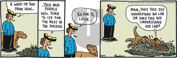 Overboard on Saturday December 29, 2018 Comic Strip