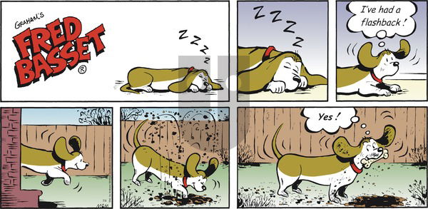 Fred Basset on Sunday July 4, 2021 Comic Strip