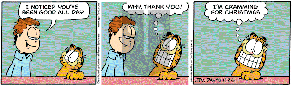 Garfield on Wednesday November 26, 2008 Comic Strip