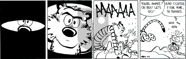 Calvin and Hobbes - Friday June 16, 1995 Comic Strip