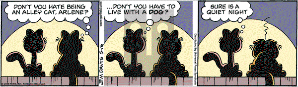 Garfield on Friday May 16, 2008 Comic Strip