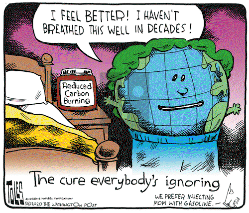 Tom Toles on Monday May 4, 2020 Comic Strip