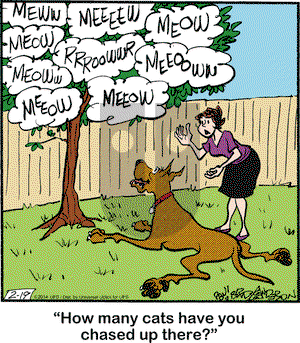 Marmaduke on Wednesday February 19, 2014 Comic Strip