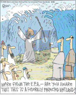 The Flying McCoys on Wednesday August 30, 2006 Comic Strip