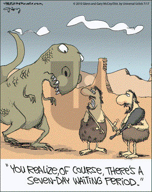 The Flying McCoys - Saturday July 17, 2010 Comic Strip