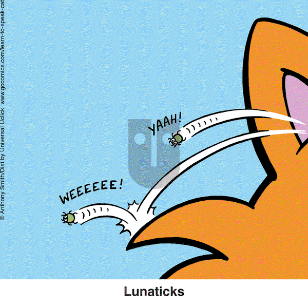 Learn to Speak Cat - Tuesday December 6, 2022 Comic Strip