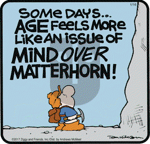 Ziggy on Monday January 16, 2017 Comic Strip