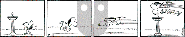 Peanuts - Saturday August 15, 1964 Comic Strip
