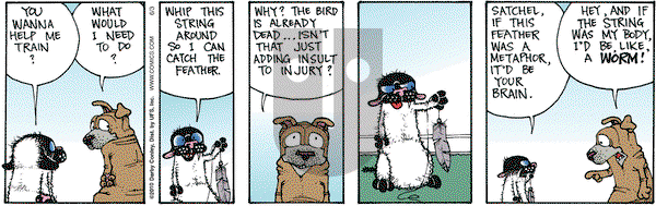 Get Fuzzy on Thursday June 3, 2010 Comic Strip