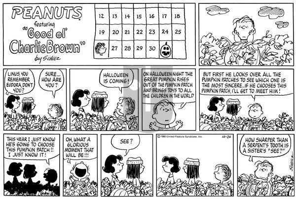 Peanuts on Sunday October 26, 1980 Comic Strip