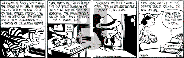 Calvin and Hobbes - Saturday May 16, 1987 Comic Strip
