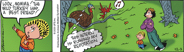 Rose is Rose on Wednesday December 3, 2025 Comic Strip