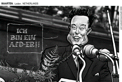 ViewsEurope - Saturday January 11, 2025 Comic Strip