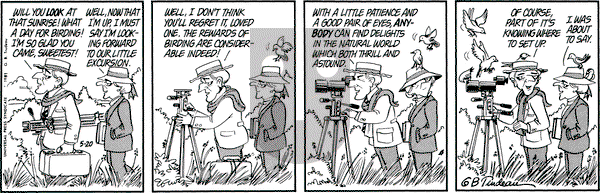 Doonesbury on Wednesday May 20, 1981 Comic Strip